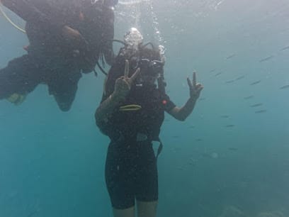 Andaman Cabs Service business photograph