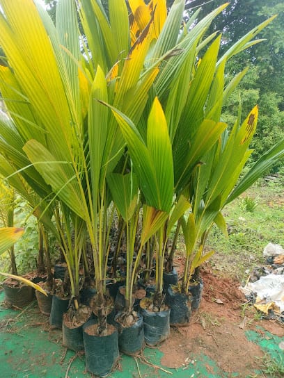 Vanasiri Farm & Nursery business photograph