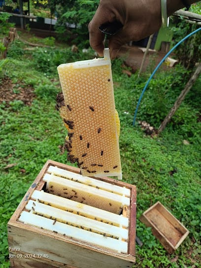 Parva Honey Bee Farm business photograph