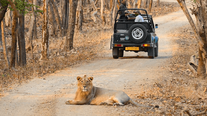 Gir Safari Booking (Private) business photograph