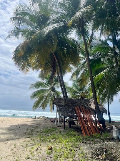 Tropica eco resort business photograph