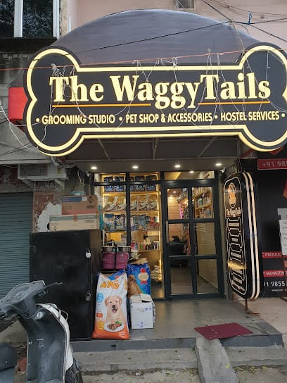 The WaggyTails business photograph