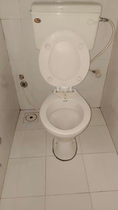 Toilet Deep Cleaning business photograph