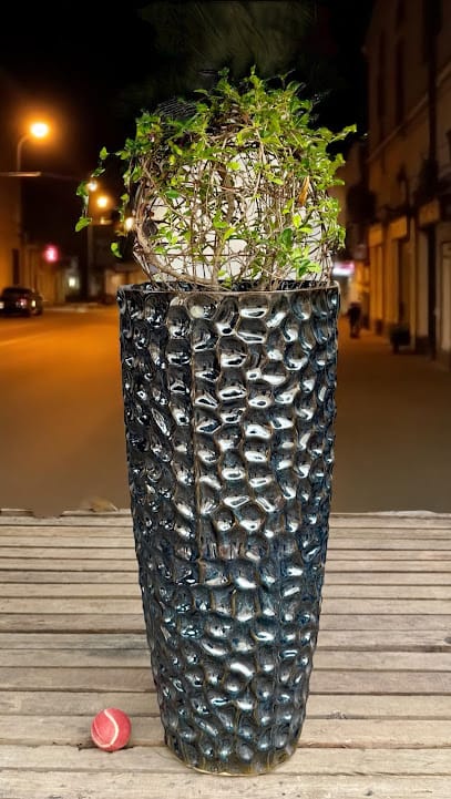 DNF Ceramics : Premium Ceramics For Quality Lifestyle business photograph