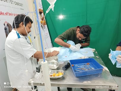 City pet clinic business photograph