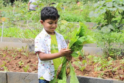 Akshayakalpa Organic Milk Yelahanka old town| Desi Cow Milk | Pure A2 Milk | Fresh Milk Delivery business photograph