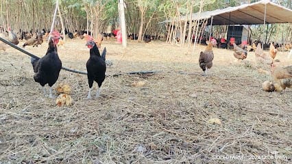 Siddhi Farm Food business photograph