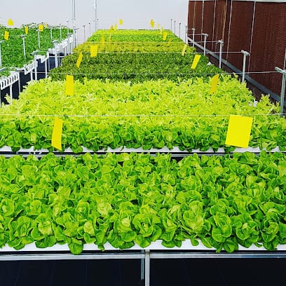 Prayogati Greens Inc. : Hydroponics & Organic Farms business photograph