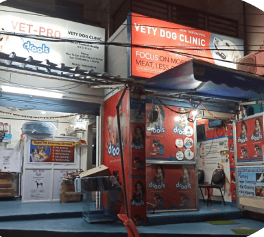 vety dog clinic business photograph