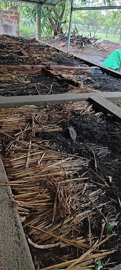 MANGUL AGRO business photograph