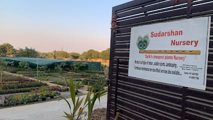 Sudarshan Nursery business photograph