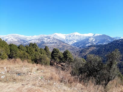 Vivah Samaroh business photograph