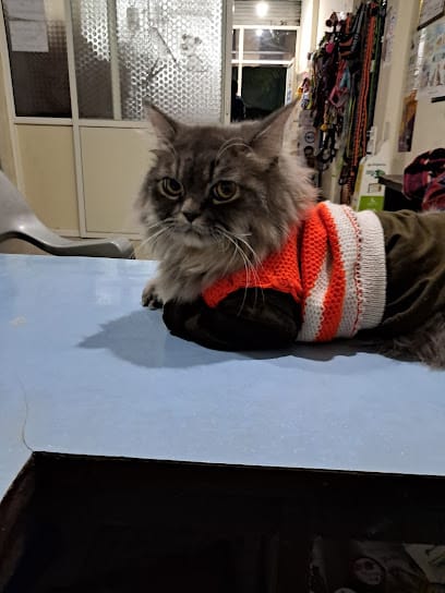 PetWell Pet Clinic and Surgery Center indore business photograph