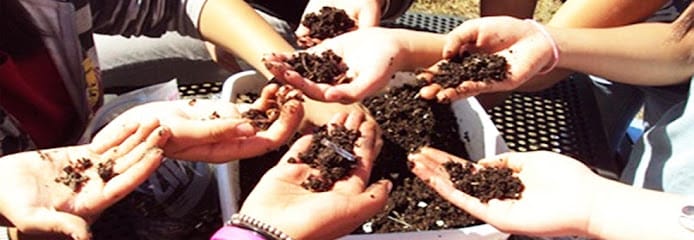 SAKTHI VERMI COMPOST INDUSTRY (Bio Herbal Pesticide / Organic / Fertilizer/Manufacturer in Madurai) business photograph