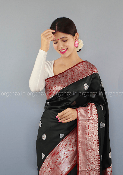 Orgenza Saree business photograph