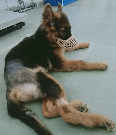 Total Pet Care Veterinary Clinic & Surgery Center business photograph