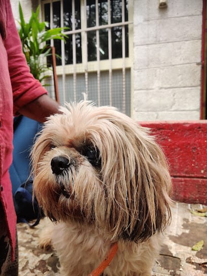 S M Pet Clinic business photograph