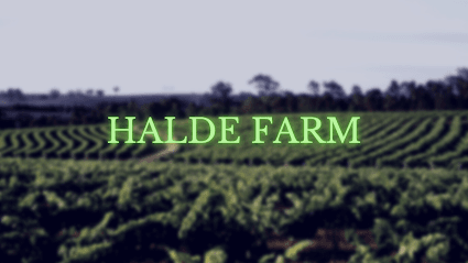 Halde Farms - Onion and Tomato Producer in Nashik business photograph