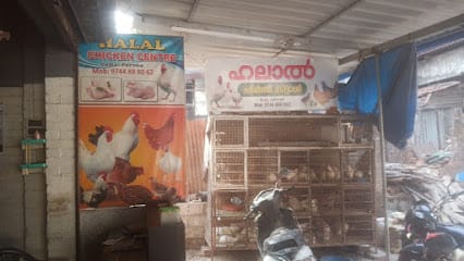 Halal Chicken center business photograph