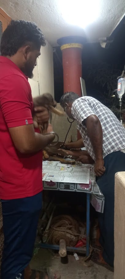 Field vet veterinary clinic business photograph