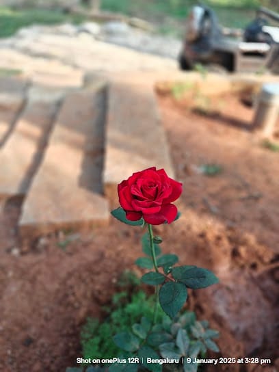 Govindaiah Farm House (Organic Farm) business photograph