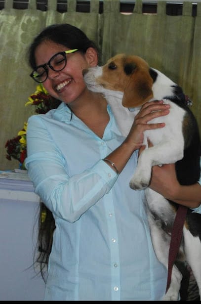 Allvet Pet Clinic (24/7) business photograph