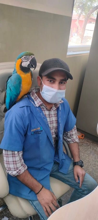 Vetvantage pet clinic business photograph