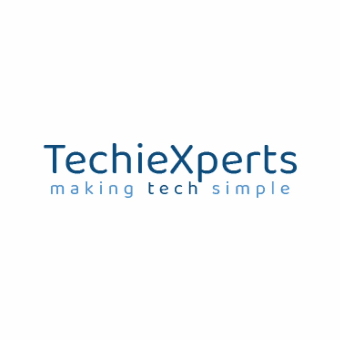 TechieXperts business photograph