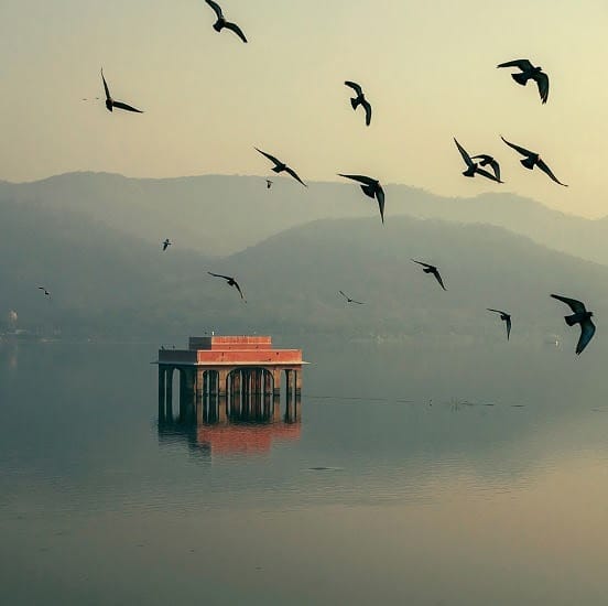 Jaipur Sightseeing Package business photograph