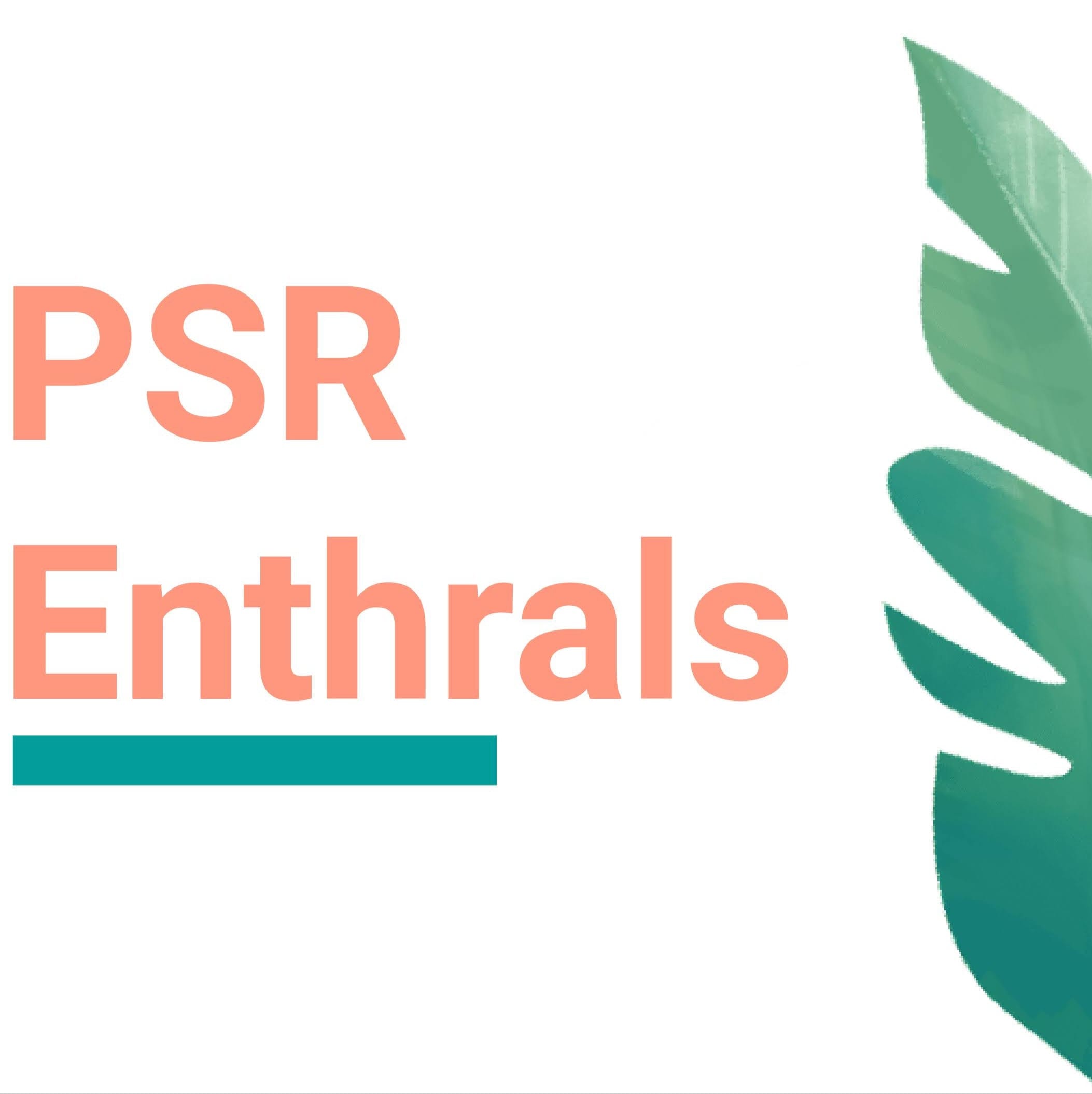 PSR Enthrals business photograph