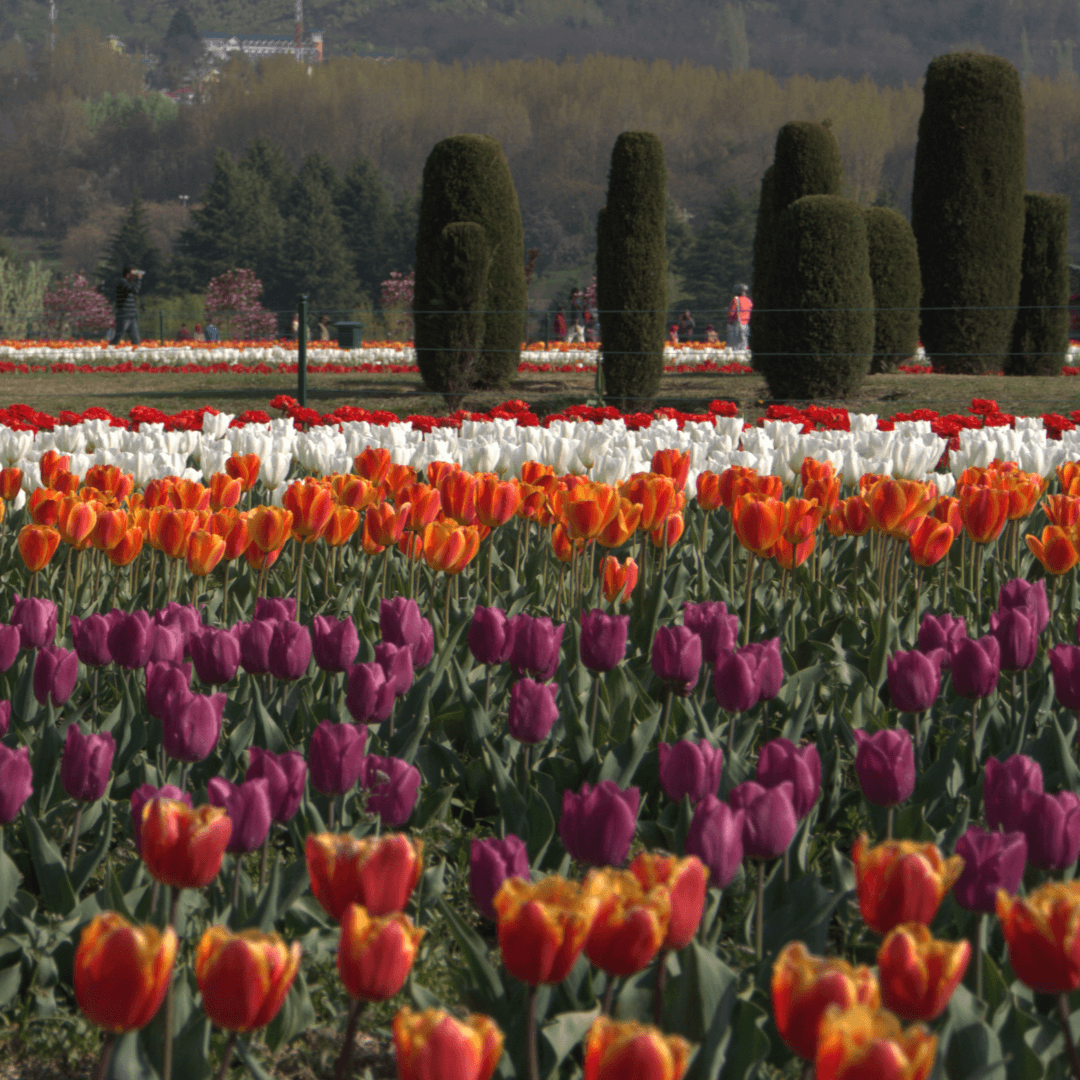 BLINK AND TRAVEL business photograph