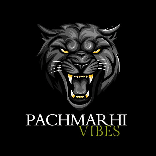 Pachmarhi Vibes business photograph