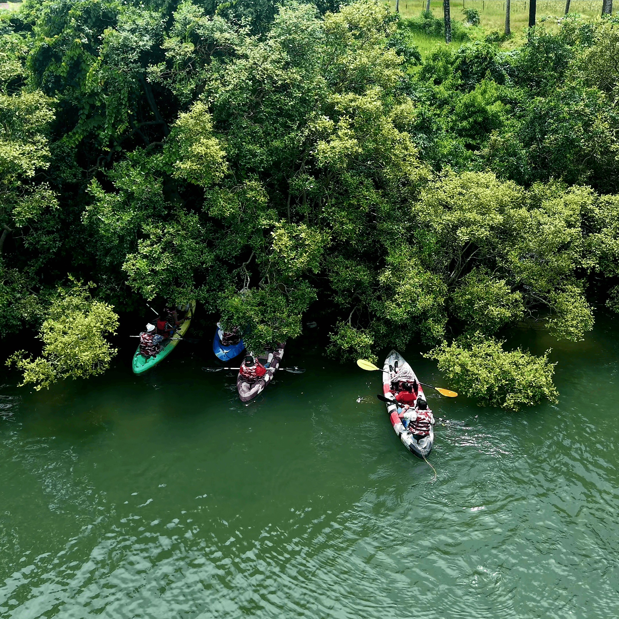 Baga Beach Kayaking, Sunset point business photograph