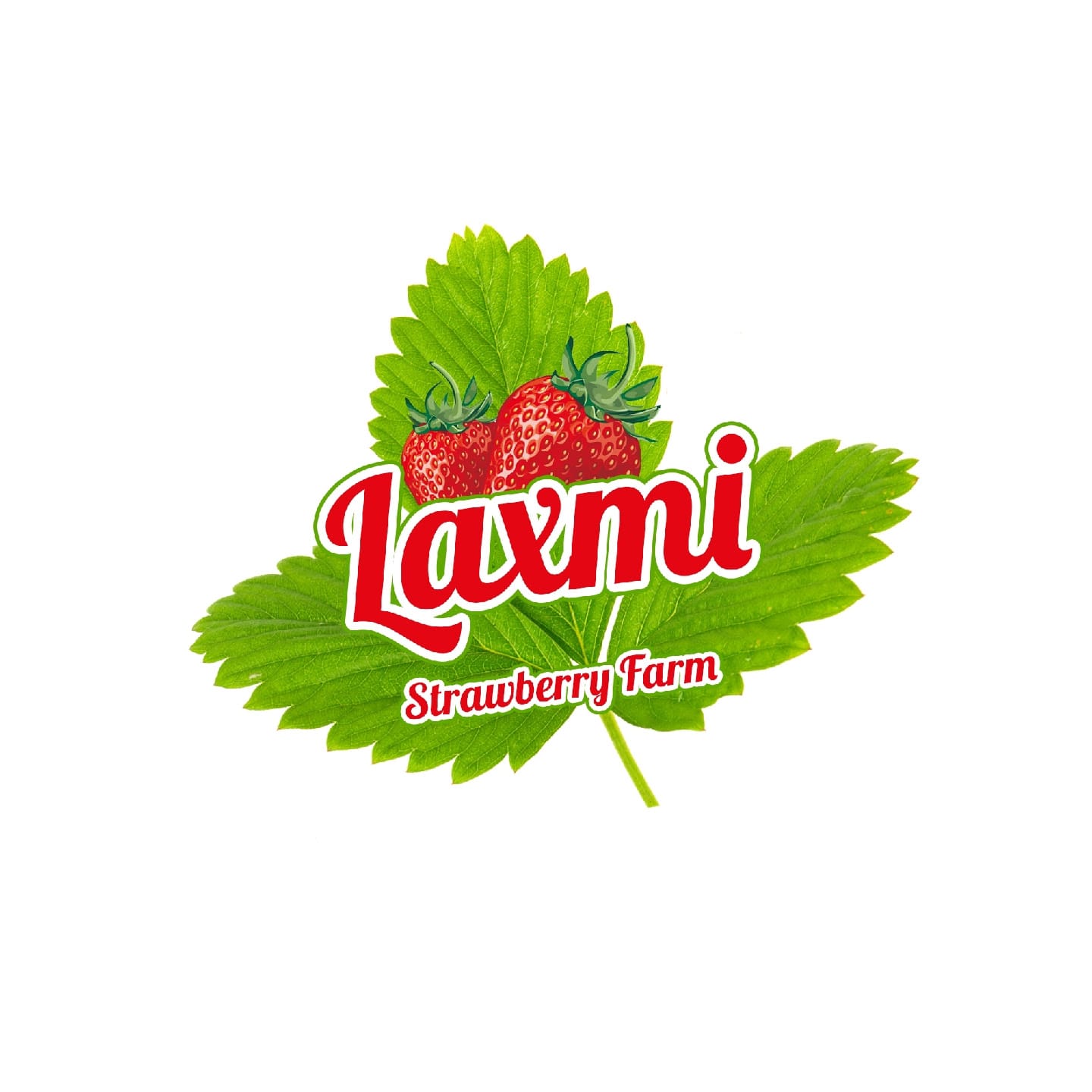 Laxmi Strawberry Farm business photograph