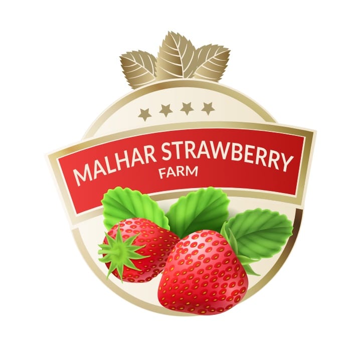 MALHAR STRAWBERRY FARM business photograph