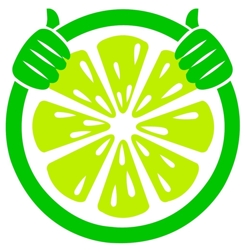 LIMECAR Self Drive Car Rental Goa Airport, RENT DRIVE RETURN business photograph