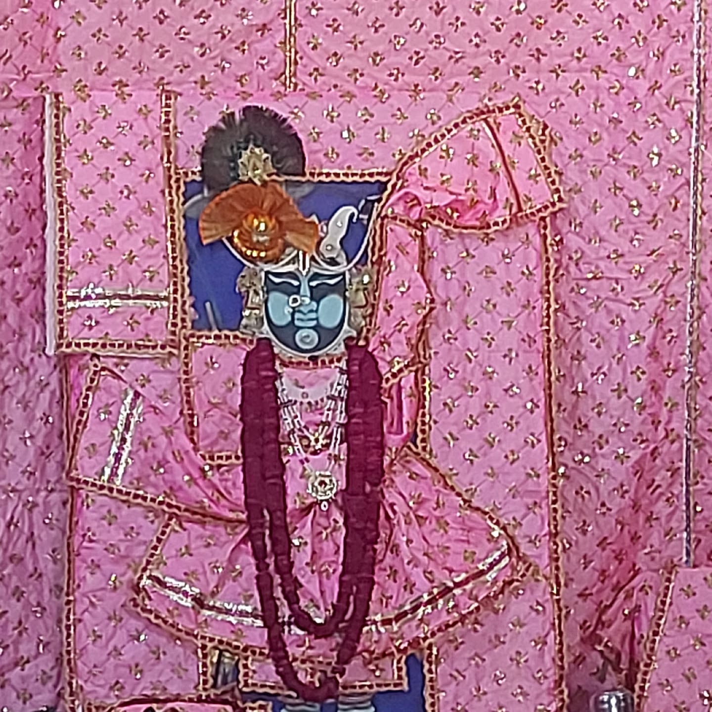 Gurukripa Tour And Travels business photograph