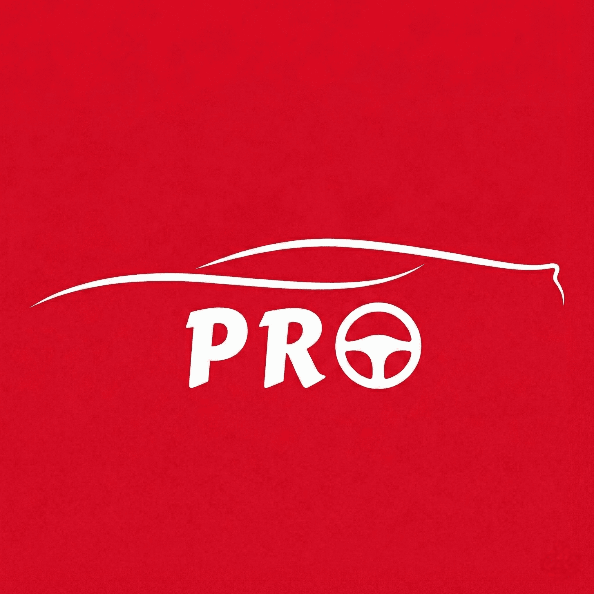 Paint Pro Detailing business photograph