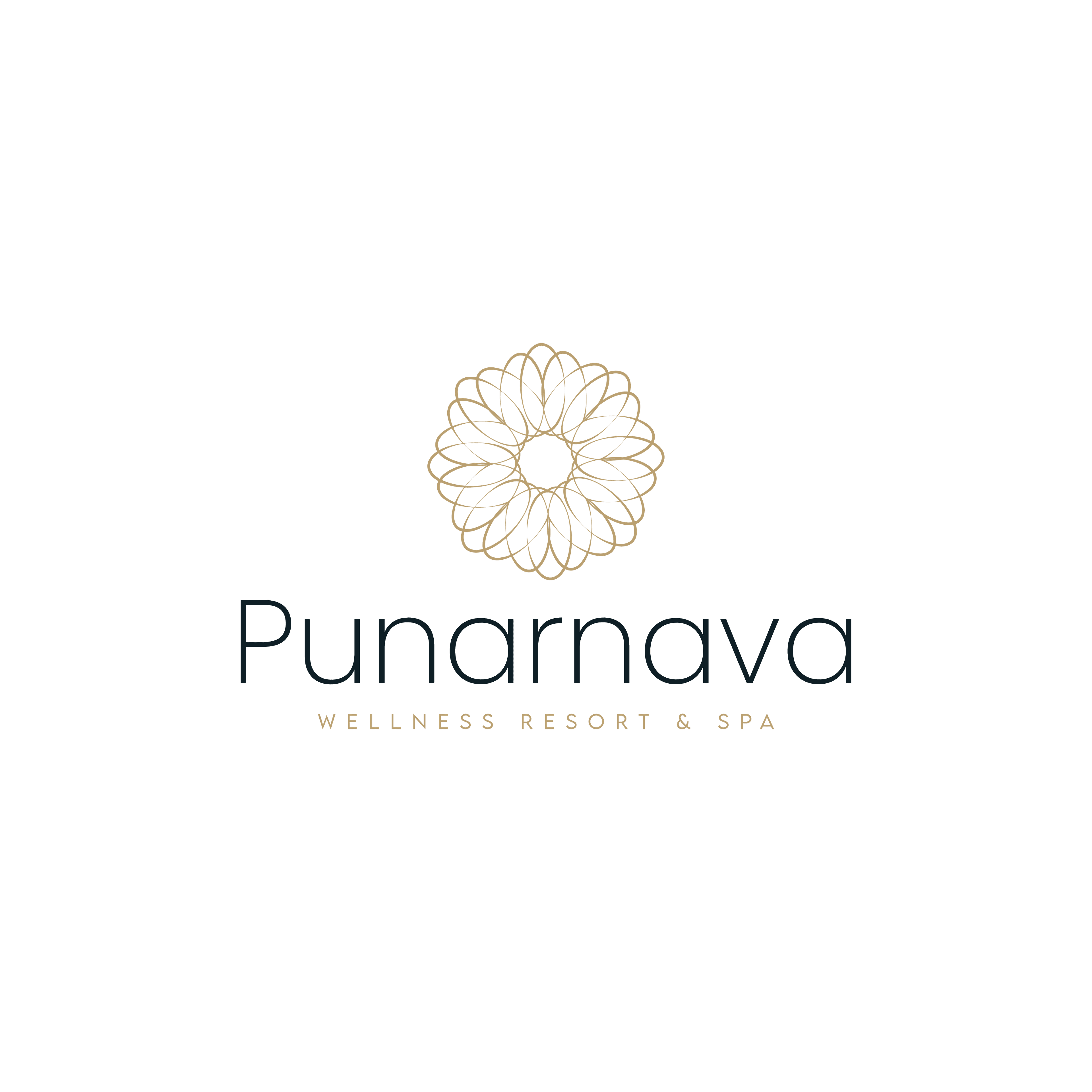 The Punarnava Wellness resort business photograph