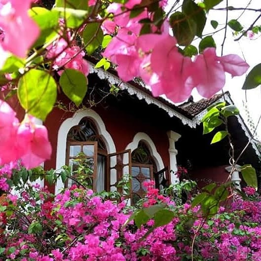 Marbella Guest House business photograph