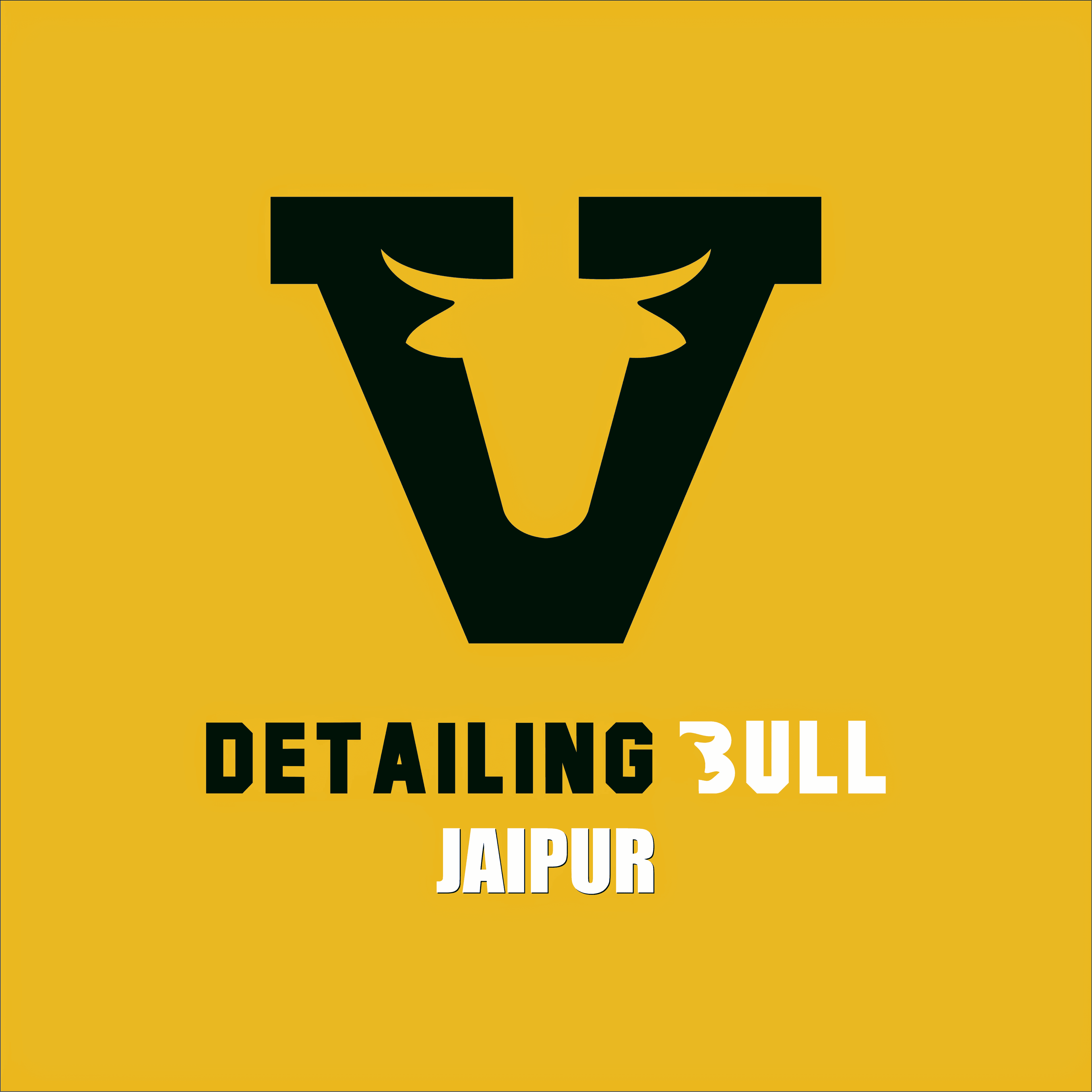 Detailing Bull business photograph