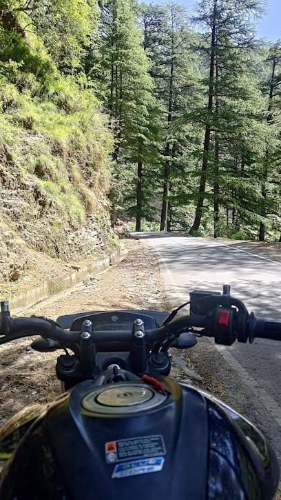 GANDHI TRAVELS & NATIONAL WATCH COMPANY business photograph