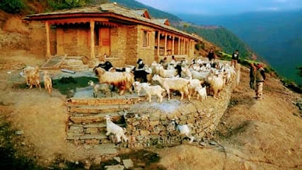 nagtibba trek with abhishek business photograph