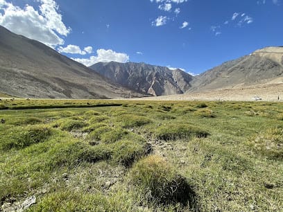 Global Trip Holidays Private Limited business photograph