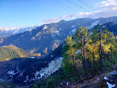 Vacation Himachal Dharamshala Taxi business photograph
