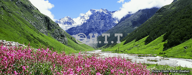 Himalayan Trek 'n' Tour - Tour Trekking Agency in Uttarakhand business photograph