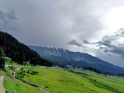 Gulmarg Wildlife Sanctuary business photograph