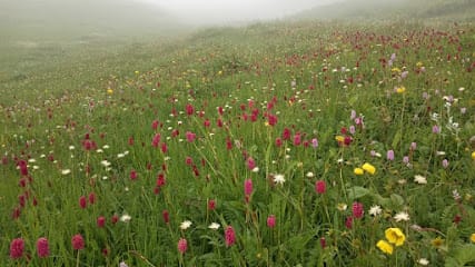 Gulabi Kantha Trekking business photograph