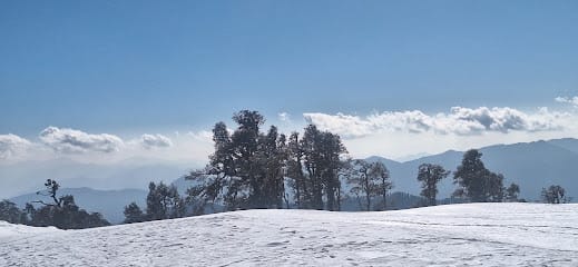 The Mountain Hike business photograph