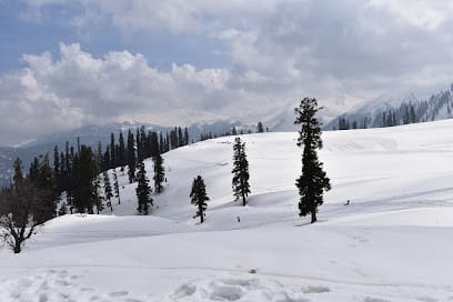 Kashmir Tour Operators For Kashmir Tour Packages Pala Holidays business photograph